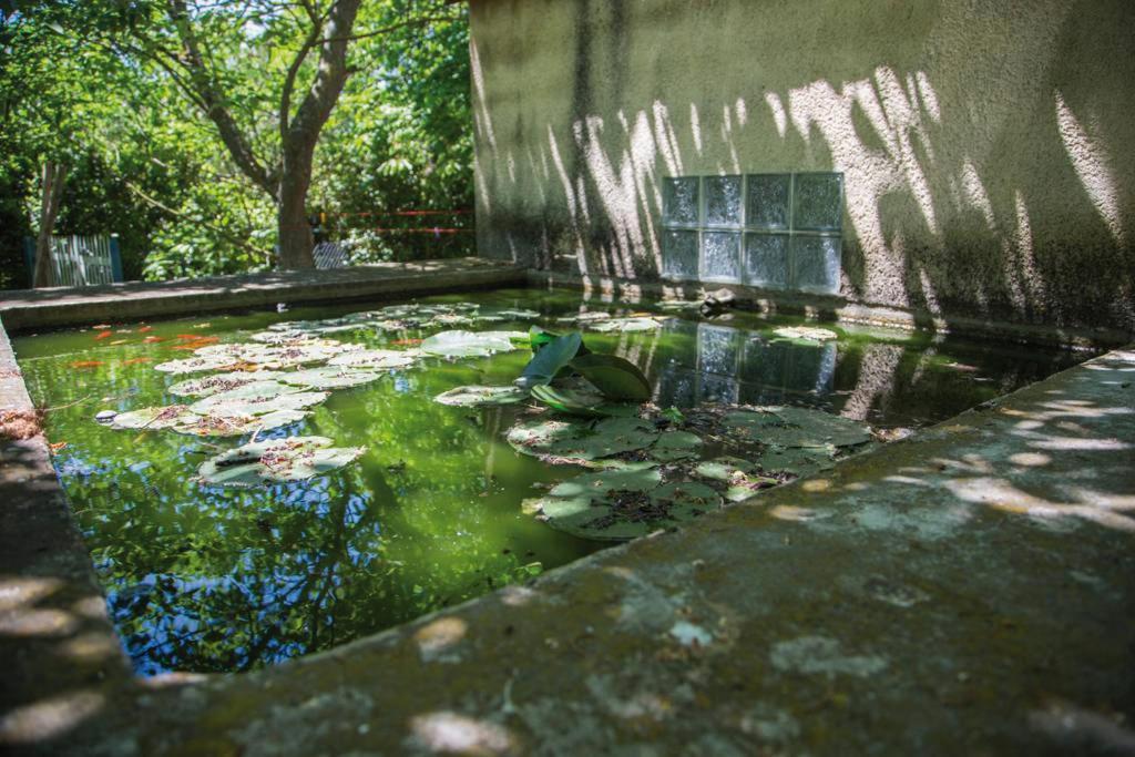 Вилла Authentique Mas Provencal Жемено Экстерьер фото