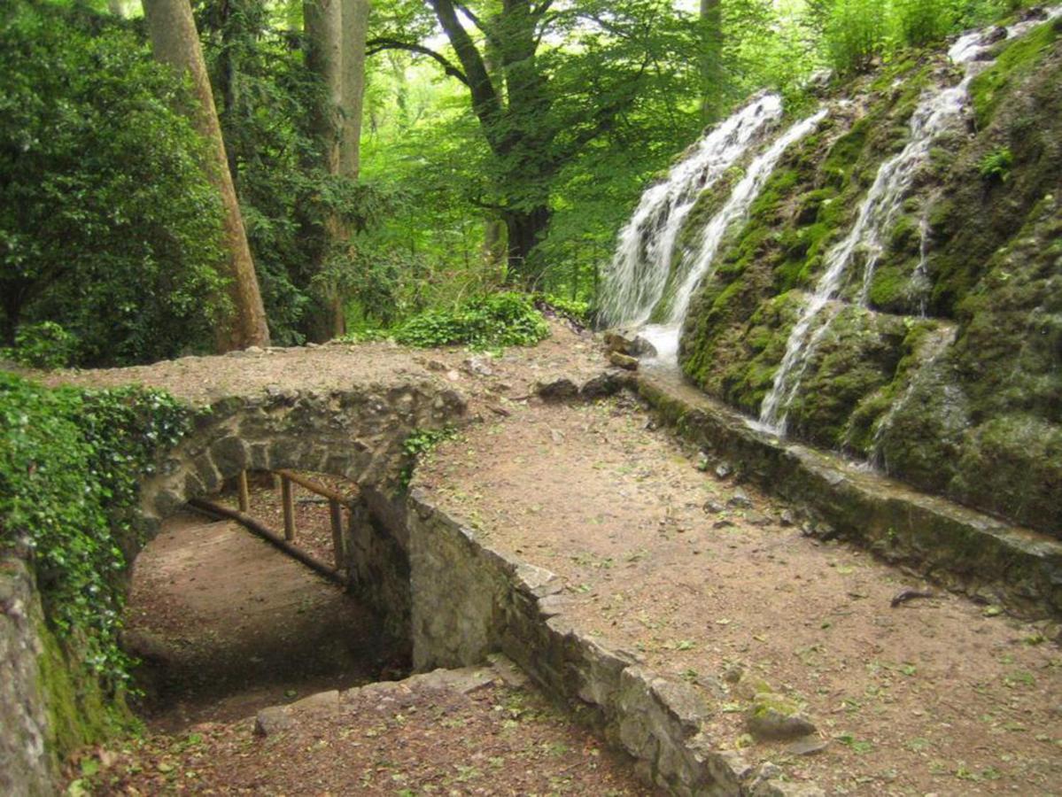 Вилла Authentique Mas Provencal Жемено Экстерьер фото