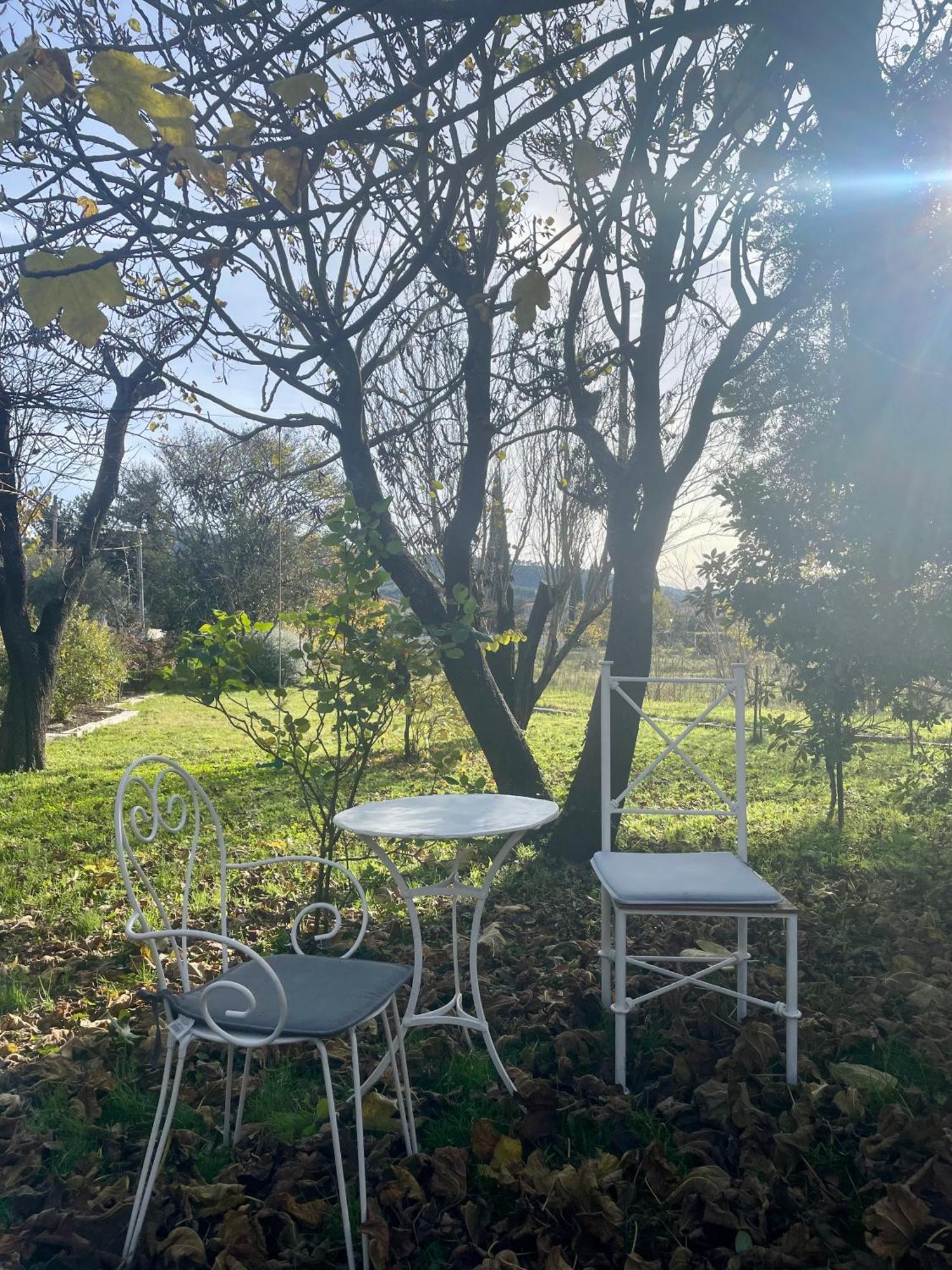 Вилла Authentique Mas Provencal Жемено Экстерьер фото